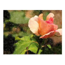 La vida es una color de rosa postal
