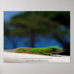 Labios 2 del Gecko Poster