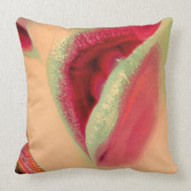 Labios Cojin