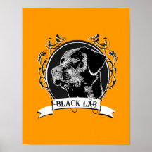LABORATORIO NEGRO (2) POSTERS