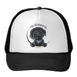 Labradodle negro IAAM Gorros Bordados
