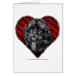 Labradoodle negro con el corazón tarjetón