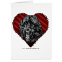 Labradoodle negro con el corazón tarjetón