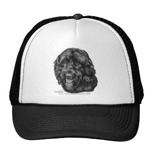 Labradoodle negro gorra