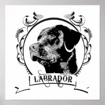 LABRADOR (5) IMPRESIONES