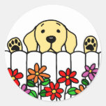 Labrador amarillo que le mira etiqueta redonda