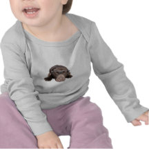 Labrador inteligente camisetas