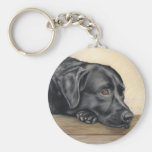 Labrador negro llaveros