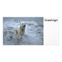 Labrador que corre fuera del mar tarjeta con foto personalizada