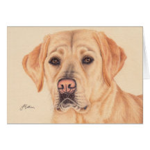 Labrador retriever amarillo felicitación