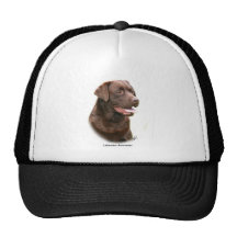 Labrador retriever del chocolate gorra