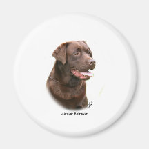 Labrador retriever del chocolate imanes de nevera