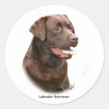 Labrador retriever del chocolate pegatina