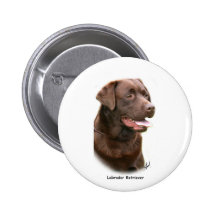 Labrador retriever del chocolate pin