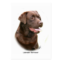 Labrador retriever del chocolate plantillas de tarjetas personales