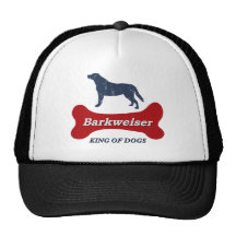 Labrador retriever gorro de camionero