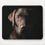 Labrador retriever hermoso tapete de raton