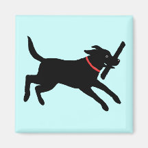Labrador retriever (negro) imanes  