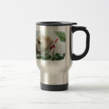 Labrador retriever taza
