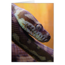 Lado de la serpiente encendido tarjeton