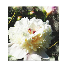 Ladra Fleur Impresiones En Lona