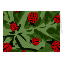 ladybugz. felicitaciones