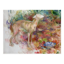Laerte el galgo, 1894 tarjetas postales