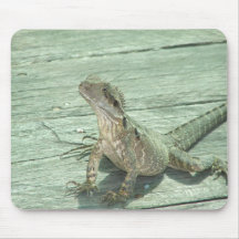 Lagarto Alfombrillas De Ratones