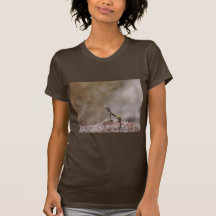 Lagarto Cebra-atado occidental Camisetas
