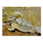 Lagarto de cuernos real de Arizona Postal
