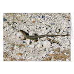 Lagarto del Gecko Tarjeta