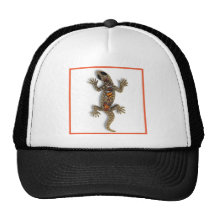 LAGARTO GORRO