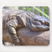lagarto grande en cierre del registro para arriba tapete de ratones
