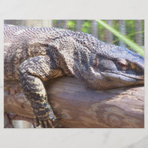 lagarto grande en cierre del registro para arriba flyer a todo color