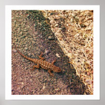 Lagarto Poster