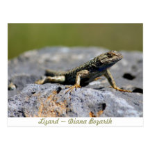 Lagarto Tarjetas Postales