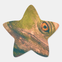 Lagarto verde del basilisco colcomanias forma de estrellas