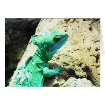 Lagarto verde del basilisco tarjetas