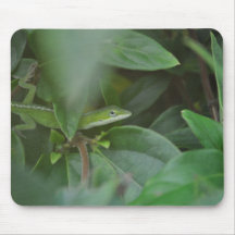 Lagarto verde tapetes de ratones