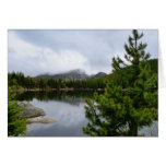 Lago bear tarjeta