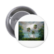 Lago brumoso tropical pins