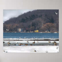 Lago Cayuga en invierno Impresiones