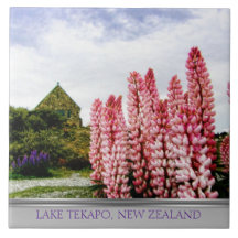 Lago rosado Tekapo Nueva Zelanda lupins @ Azulejos