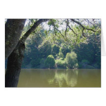 Lago santa Cruz Felicitacion