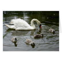 Lago swan del día de madre - tarjeta