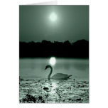 Lago swan felicitación