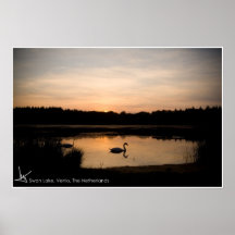 Lago swan posters