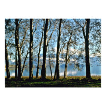 Lago Wanaka Comunicados