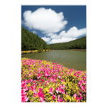 Posters Naturaleza