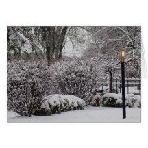 Lámpara del invierno tarjetas